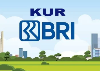 Mudah dan Praktis! Daftar Bantuan Pinjaman Lunak dari BRI Khusus UMKM Hanya Pakai HP