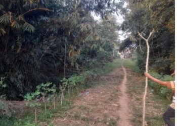 Pemilik Kebun Laporkan Penggusuran Lahan oleh Kepala Desa ke Polres Lampung Timur