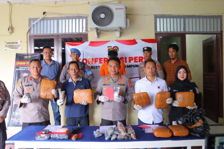 Polsek Telukbetung Utara Tangkap Pengedar Narkoba, Amankan 9 Kg Ganja dan 241 Gram Sabu