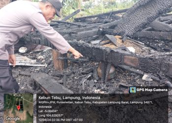 Kebakaran Hebat Ludeskan Rumah di Purawiwitan, Lampung Barat
