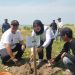 Penanaman Vegetasi Pohon Cemara di Pekon Karang Anyar: Upaya Perlindungan Pantai Wonosobo