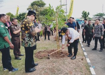 Pj. Gubernur Lampung Tanam Bambu sebagai Ikon Daerah di Pringsewu