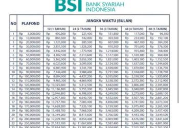 Langsung Disetujui! KUR BSI Pinjaman Hingga Rp500 Juta, Simak Jenis dan Syaratnya