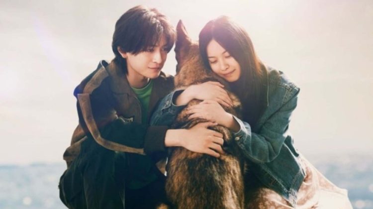Sinopsis Film Jepang “The Boy and the Dog”: Kisah Menyentuh yang Dibintangi Fumiya Takahashi