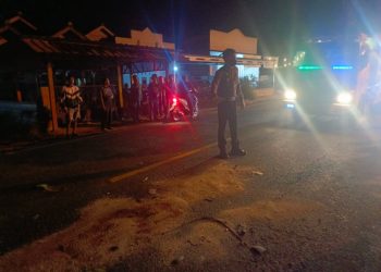 Kecelakaan Maut di Jalinbar Pringsewu: Mahasiswi Tewas di Tempat