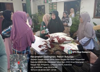 Dinas Ketahanan Pangan Pringsewu Gelar Program Pangan Murah di 21 Titik, Terbanyak di Desember 2024