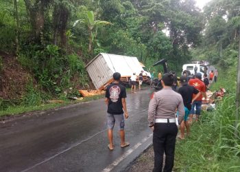 Mobil Boks Bermuatan Kelapa Anjlok di Tanjakan Simpang Mutun, Tak Ada Korban Jiwa