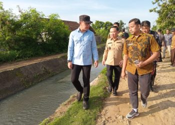 Wamendagri Bima Arya Tinjau Irigasi di Pringsewu untuk Dorong Swasembada Pangan  