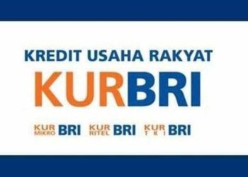 Pemilik Usaha Bisa Ajukan KUR BRI Setelah 6 Bulan Berjalan