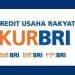 Pemilik Usaha Bisa Ajukan KUR BRI Setelah 6 Bulan Berjalan