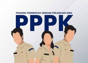 BKN Imbau Honorer Pendaftar PPPK 2024: Jangan Sampai Terlewat Seleksi Kompetensi