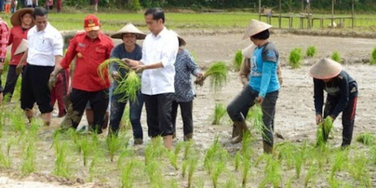 Serikat Petani Soroti Kebijakan Pemerintah yang Merugikan Petani Sepanjang 2024