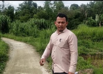 Aktivis GERMASI Pertanyakan Peran dan Kinerja Pendamping Desa Teknik Infrastruktur di Lampung Barat