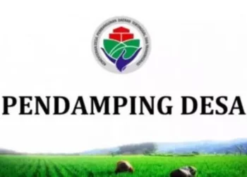 Gaji Hampir 5 Juta, Perhatikan Tugas Pendamping Desa ini Agar Bisa Lolos Rekrutmen