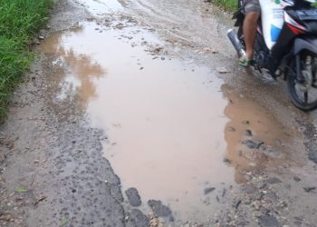 Jalan Rusak Parah di Kecamatan Pringsewu, Warga Minta Perbaikan Segera