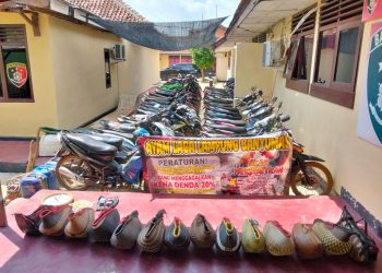 Polisi Gerebek Sabung Ayam di Pringsewu, Puluhan Motor dan Ayam Aduan Diamankan