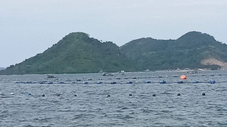 Jaring Sampah Laut Lampung Marriott Resort Tuai Protes, Belum Kantongi Izin KKPRL