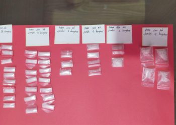 Ditresnarkoba Polda Lampung Tangkap Pengedar Sabu di Pesawaran, Dukung Asta Cita Presiden dalam Pemberantasan Narkoba