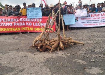 Mediasi Ricuh Petani Singkong dengan Pemprov dan DPRD Lampung Berujung Kesepakatan