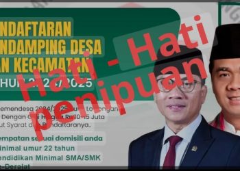 Hati-Hati! Berikut Link Resmi Pendaftaran Pendamping Desa 2025, Selain Itu Dipastikan Palsu