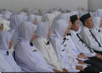 Mekanisme dan Syarat Mendapatkan NIP serta SK Pengangkatan untuk PPPK Paruh Waktu