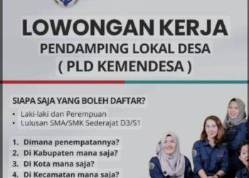 Bukan Cuma PLD, Ini 6 Posisi Pendamping Desa yang Bisa Anda Daftar