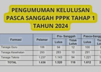 Update Terbaru: Statistik Pengumuman Hasil Seleksi CPNS dan PPPK Tahap 1