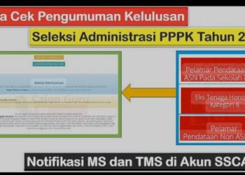 Cara Cek Hasil Seleksi Administrasi PPPK Tahap 2 Secara Online