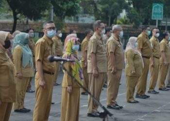 BKN Umumkan Honorer yang Akan Dirumahkan pada 2025