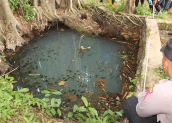 Pria Lanjut Usia Ditemukan Meninggal Mengapung di Embung Mata Air di Pringsewu