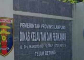 Jaring Sampah Laut Lampung Marriott Resort Masih Berproses di KKP, DKP Lampung Berikan Penjelasan