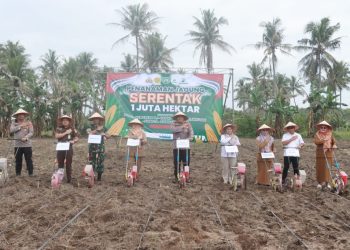 Gerakan Penanaman Jagung 1 Juta Hektar di Lampung Selatan Dukung Swasembada Pangan