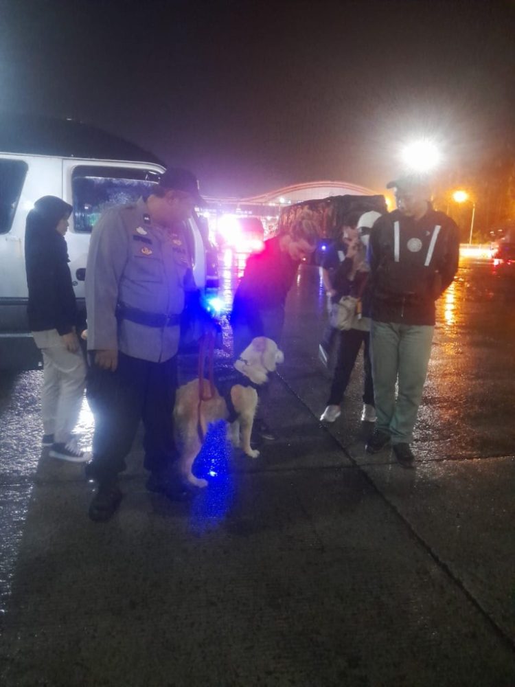 Polisi Perketat Pemeriksaan Narkoba di Pelabuhan Bakauheni dengan Satwa K-9