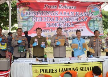 Polres Lampung Selatan Gagalkan Penyelundupan 16 Kg Ganja, Dua Tersangka Ditangkap