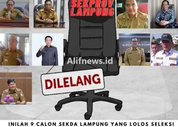 Ini 9 Nama yang Lolos Seleksi Administrasi Jabatan Sekprov Lampung 