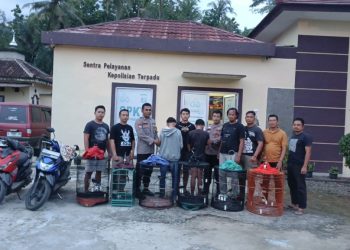 Curi Burung Murai, Dua Pelajar SMA Ditangkap Polisi di Pringsewu