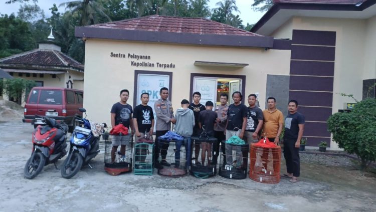 Curi Burung Murai, Dua Pelajar SMA Ditangkap Polisi di Pringsewu