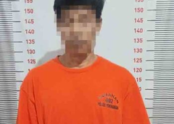 Tekab 308 Presisi Polsek Penengahan Tangkap Pelaku Pencurian di Ketapang