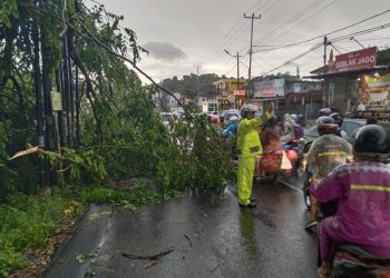 Hujan Deras dan Angin Kencang Terjang Bandar Lampung, Warga Diminta Waspada