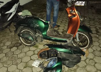 Kecelakaan Maut di Pringsewu: Pemotor Tewas Usai Bertabrakan dengan Mobil