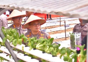 Kapolda Lampung dan Bhayangkari Luncurkan Program Pekarangan Pangan Lestari di SPN Polda Lampung