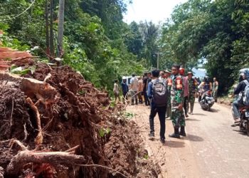 Bupati Pesawaran Tinjau Lokasi Longsor dan Banjir di Teluk Pandan, Warga Minta Solusi Jangka Panjang