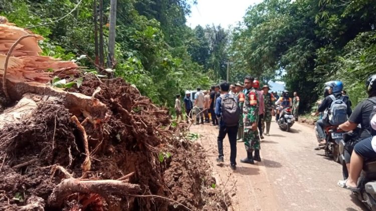 Bupati Pesawaran Tinjau Lokasi Longsor dan Banjir di Teluk Pandan, Warga Minta Solusi Jangka Panjang