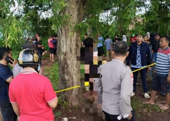 Pemuda di Pringsewu Ditemukan Tewas Gantung Diri di Pohon Asam