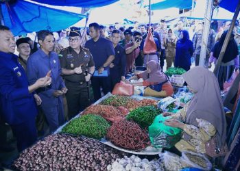 Pastikan Stok Bahan Pokok Aman, Bupati Pringsewu Tinjau Pasar Banyumas