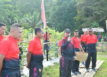 Danbrigif 4 Mar/BS Pimpin Panen Melon di Yonif 7 Mar: Dukung Ketahanan Pangan