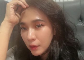 Audit Anggaran Desa Palas, Pengamat Hukum Desak Transparansi