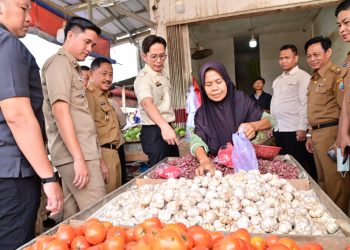 Bupati Lampung Selatan Pastikan Harga Bahan Pokok Stabil Jelang Idulfitri