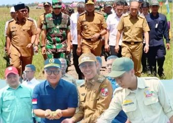 Panen Raya Serentak, Wabup Lampung Utara Dorong Sinergi Petani dan Pemerintah Jaga Pangan Negeri