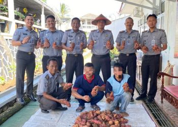 Lapas Kalianda Sukses Panen Ubi, Dorong Warga Binaan Tingkatkan Keterampilan Pertanian